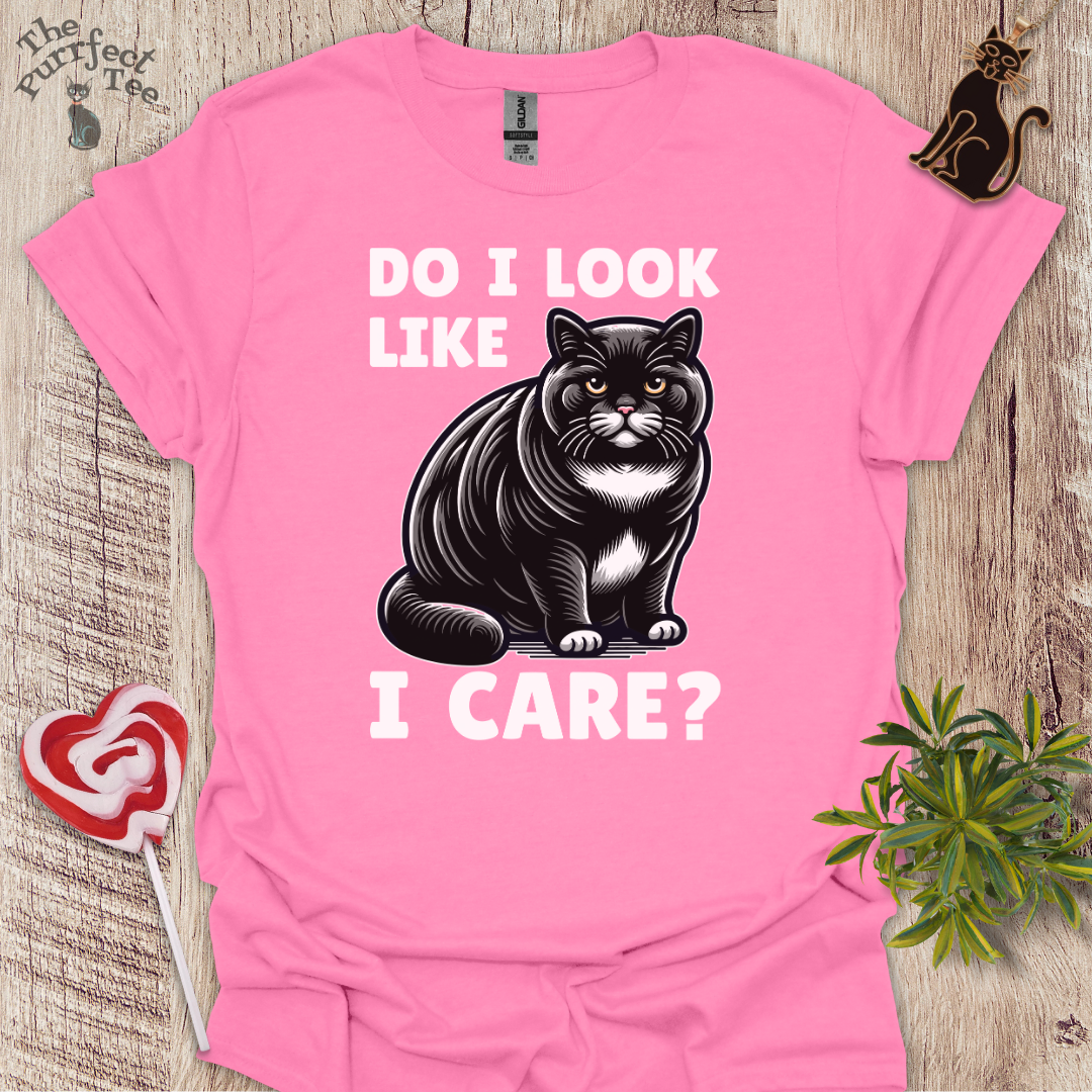 Do I look like I care cat t-shirt