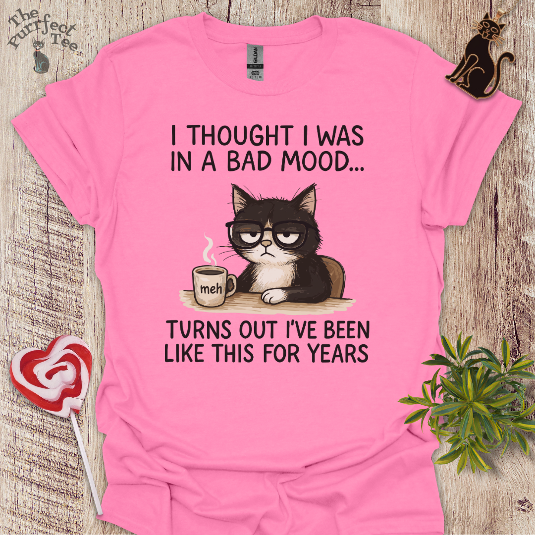Bad mood cat t-shirt