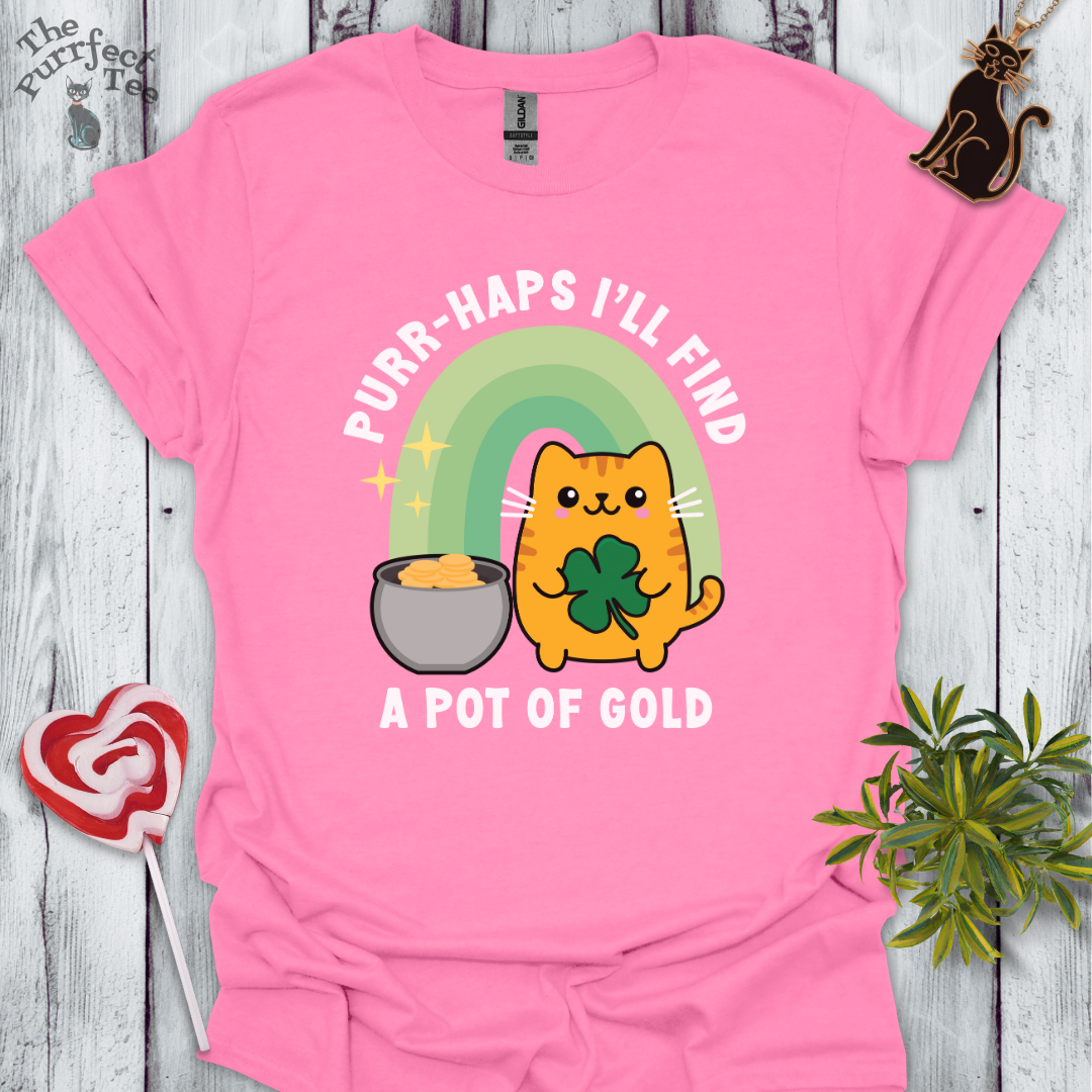Cat with pot of gold t-shirt