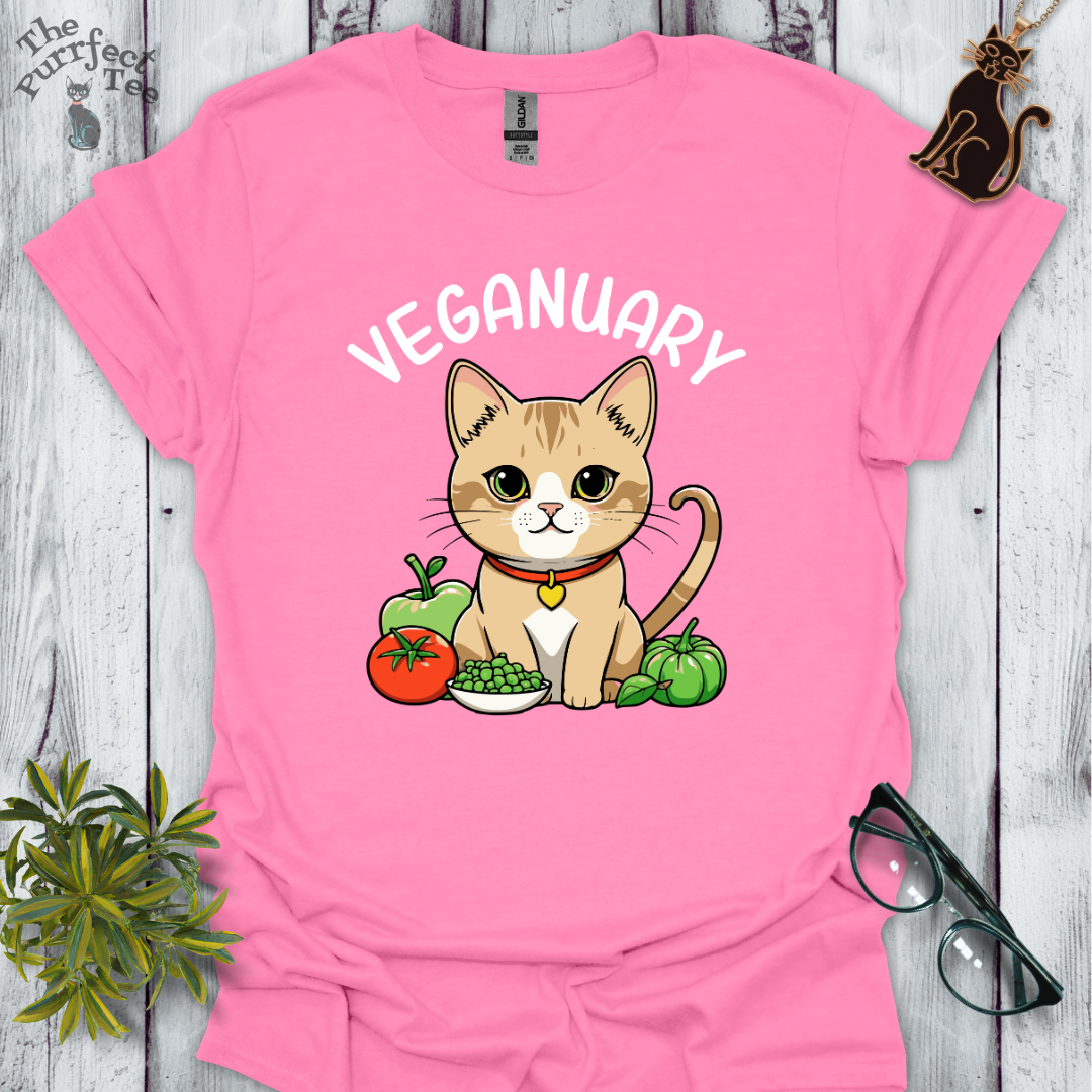 Veganuary sandy cat