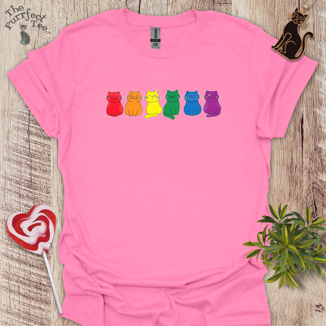 Rainbow cat t-shirt