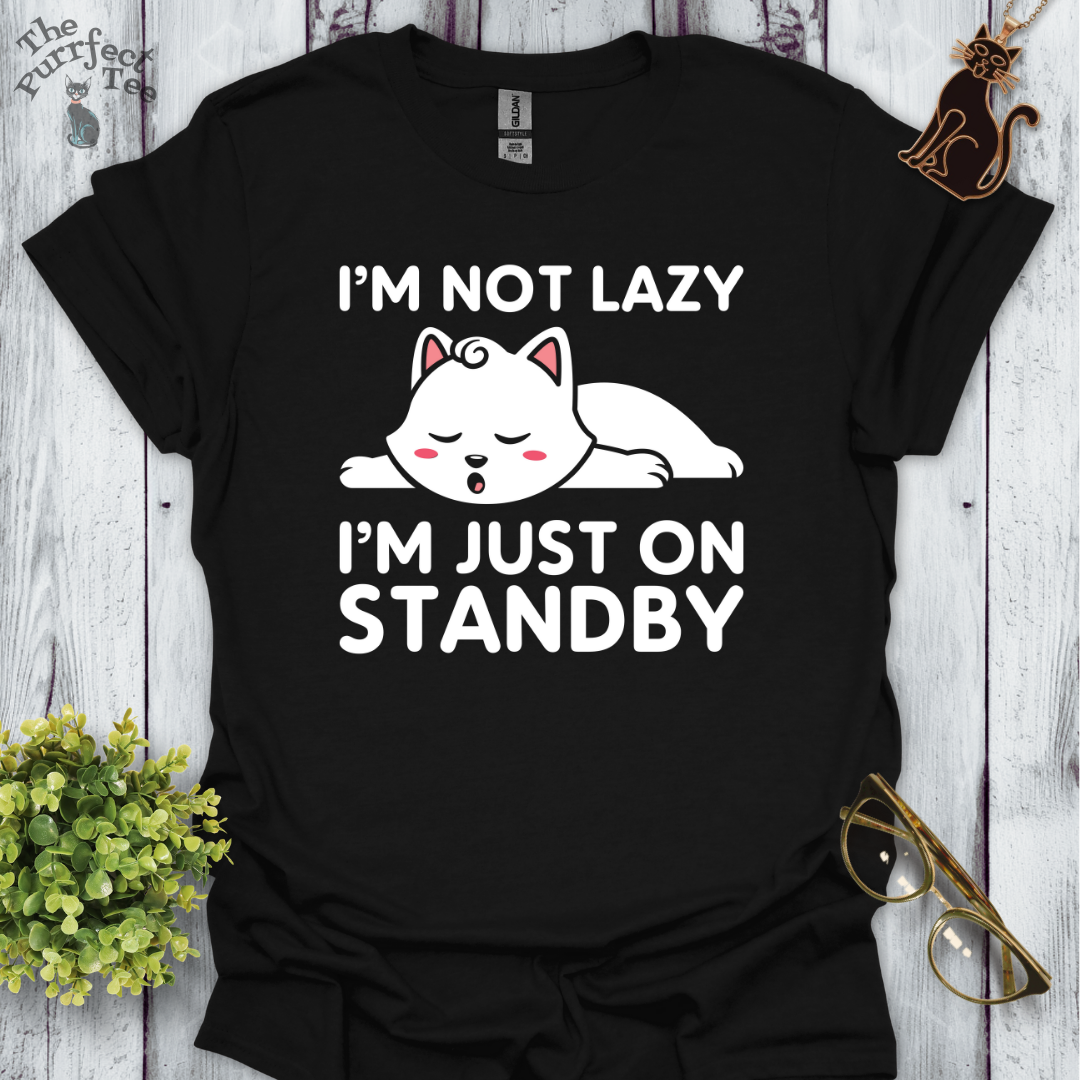 I'm not lazy I'm just on standby