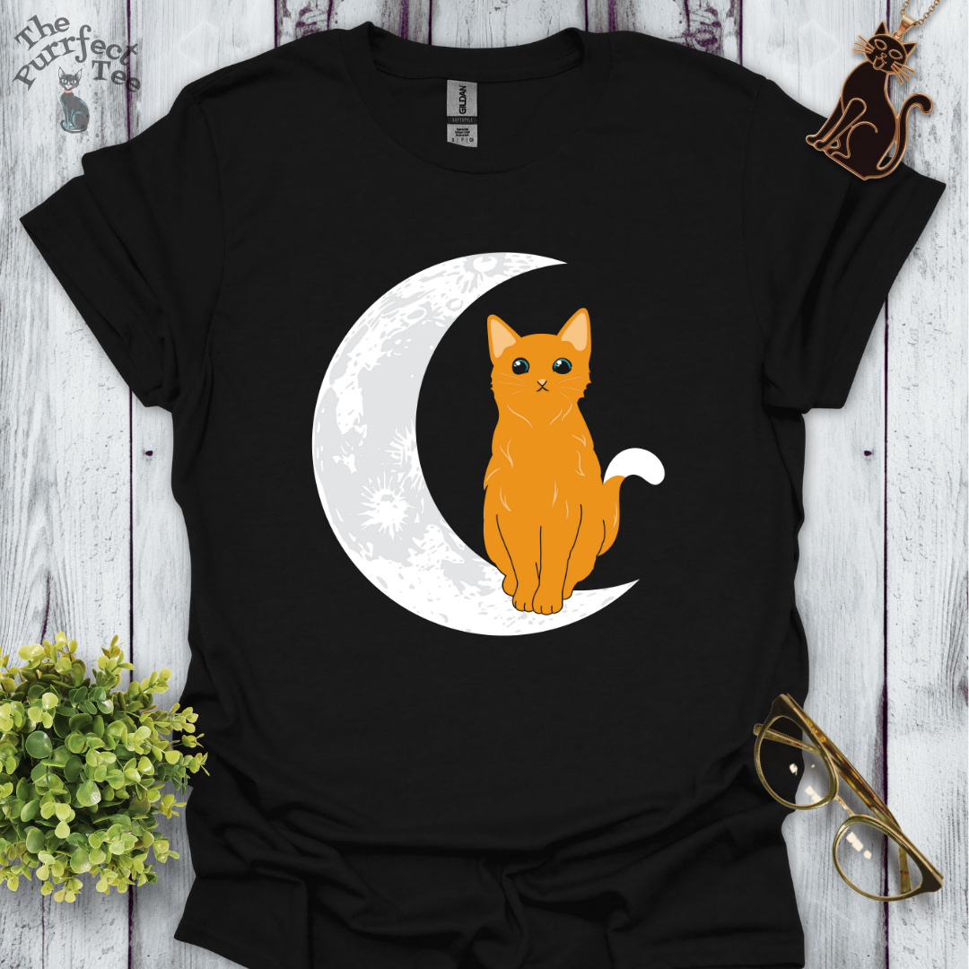 Cat and moon orange