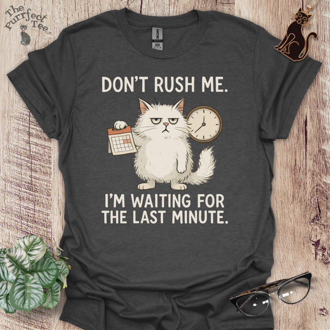 Don't rush me cat t-shirt