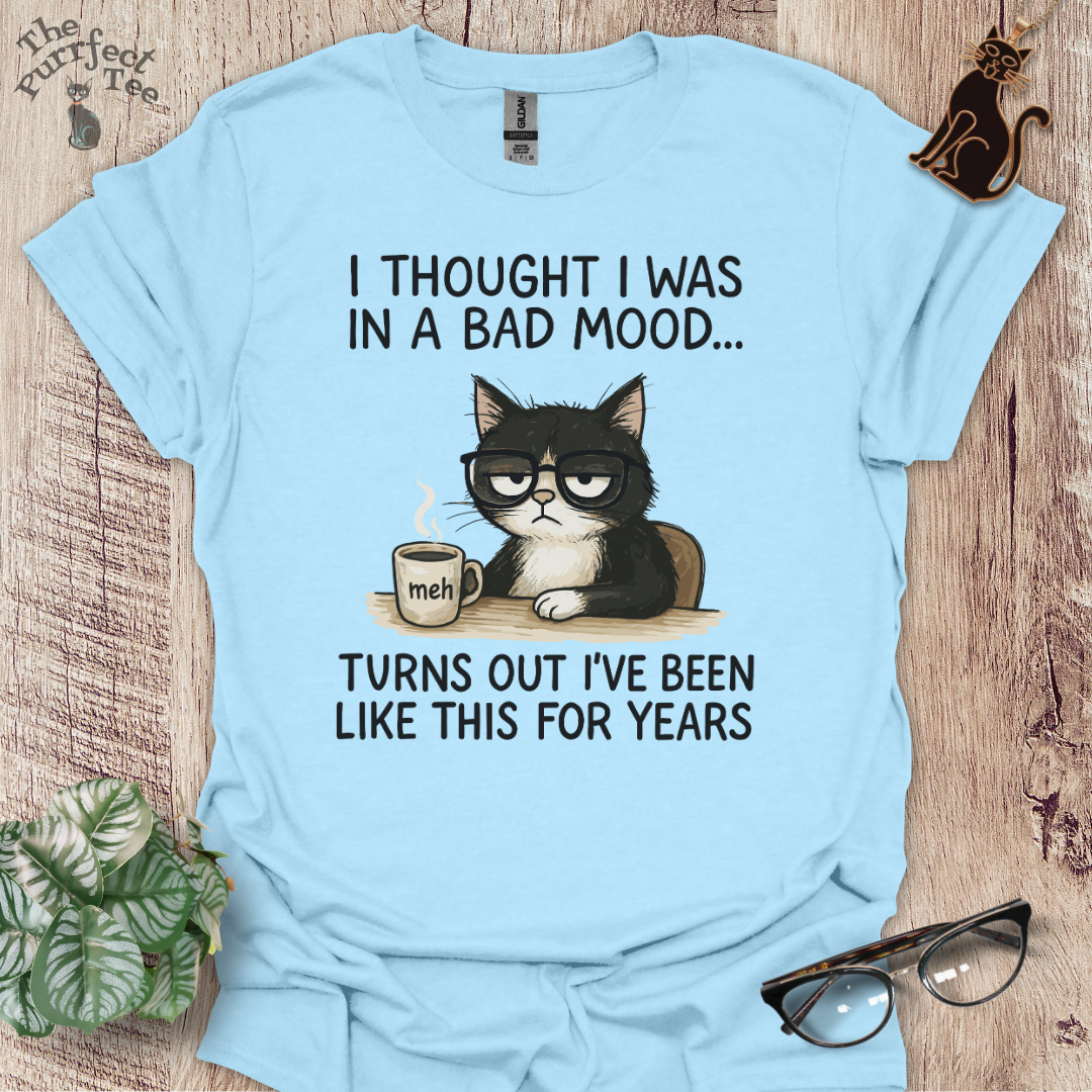 Bad mood cat t-shirt