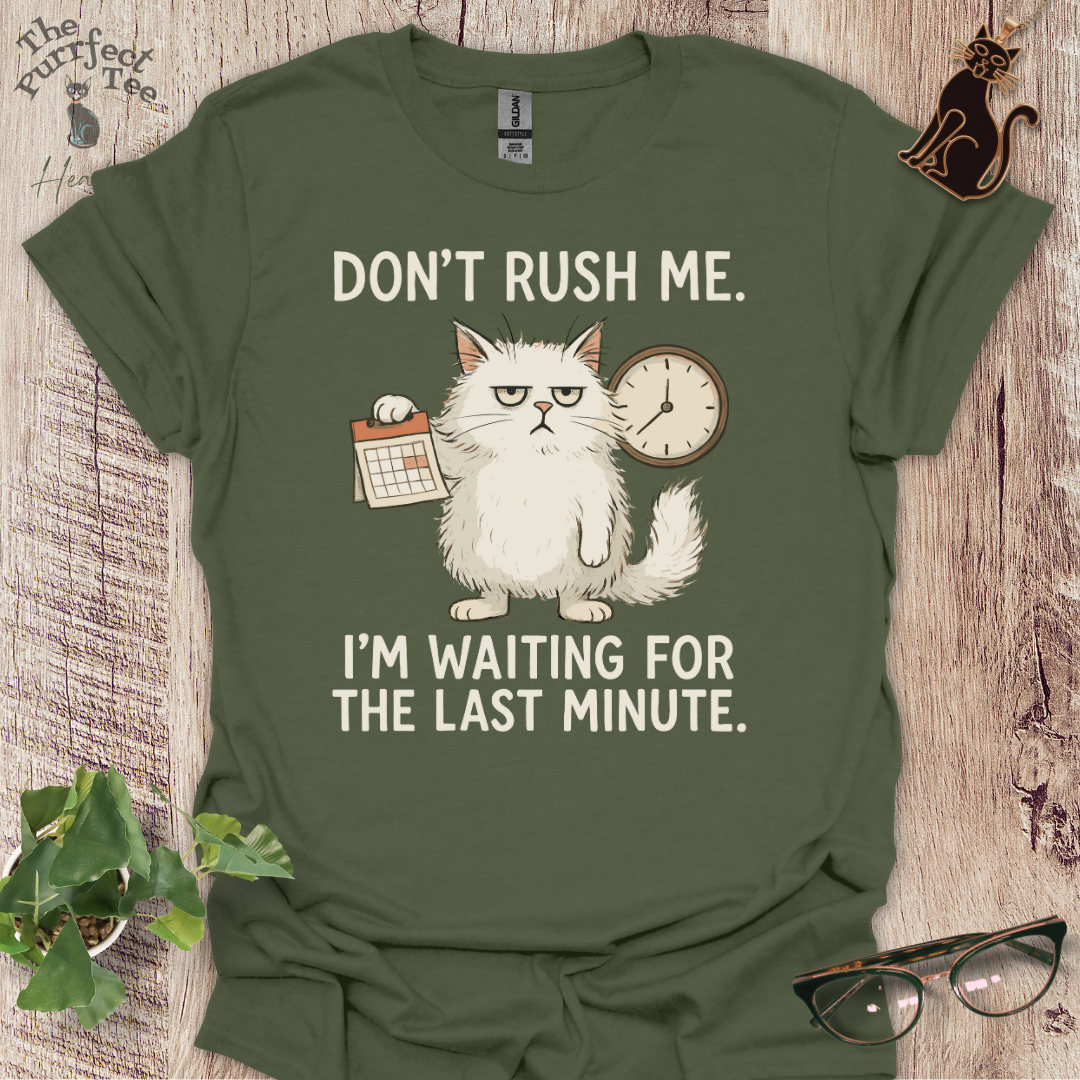 Don't rush me cat t-shirt