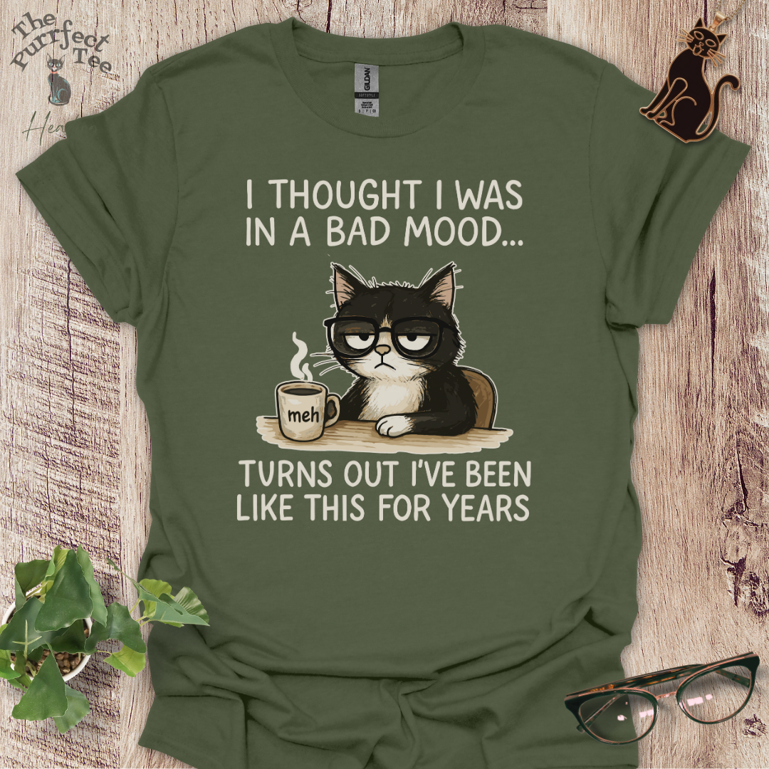 Bad mood cat t-shirt