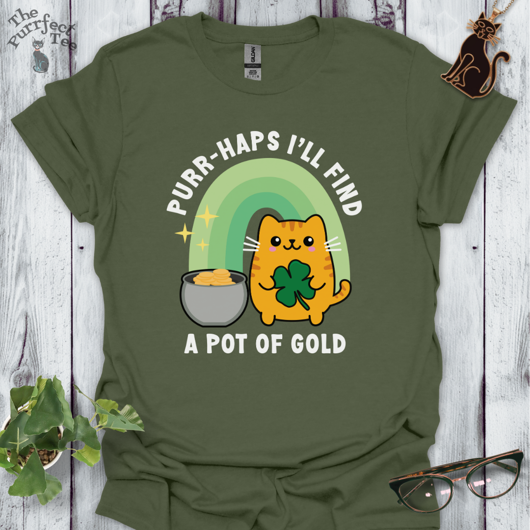 Cat with pot of gold t-shirt