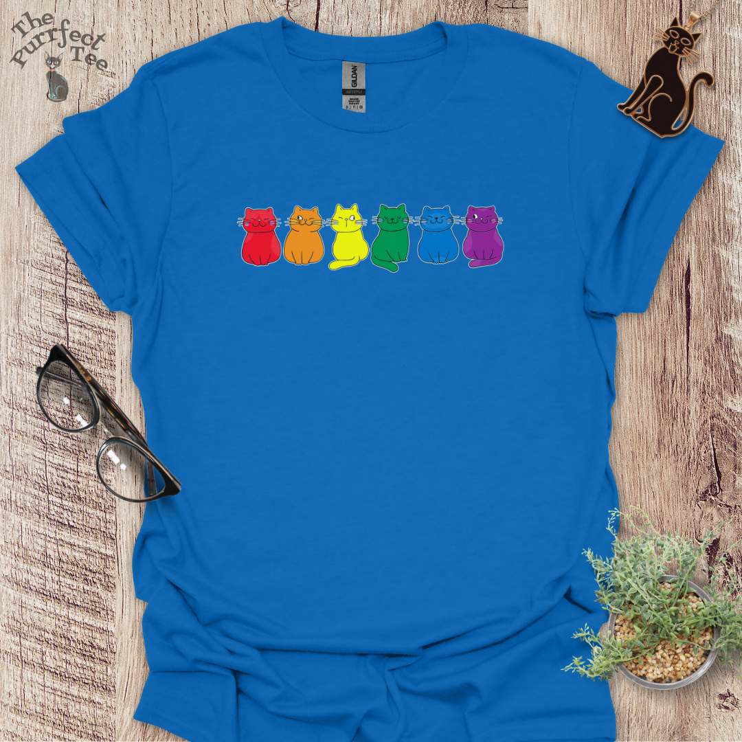 Rainbow cat t-shirt
