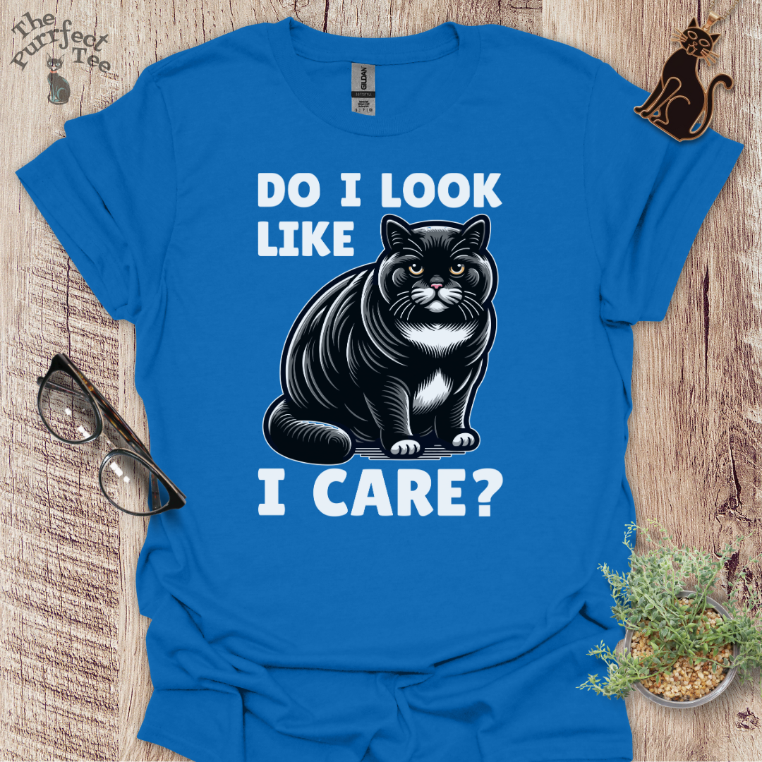 Do I look like I care cat t-shirt