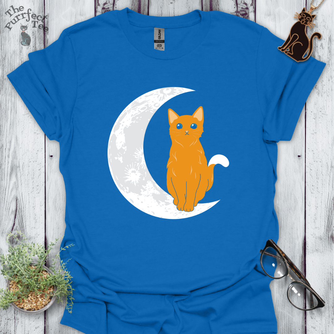 Cat and moon orange