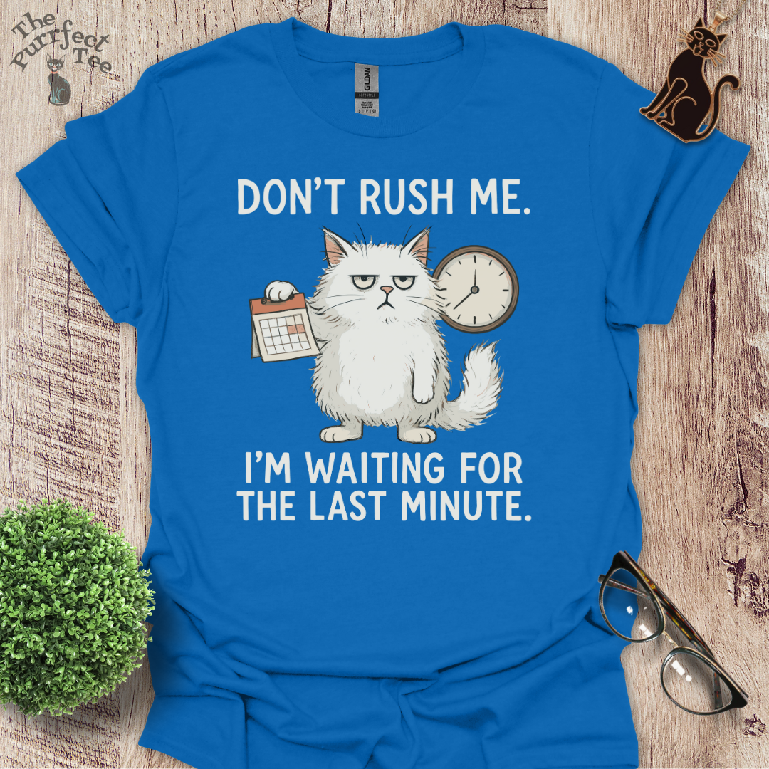Don't rush me cat t-shirt