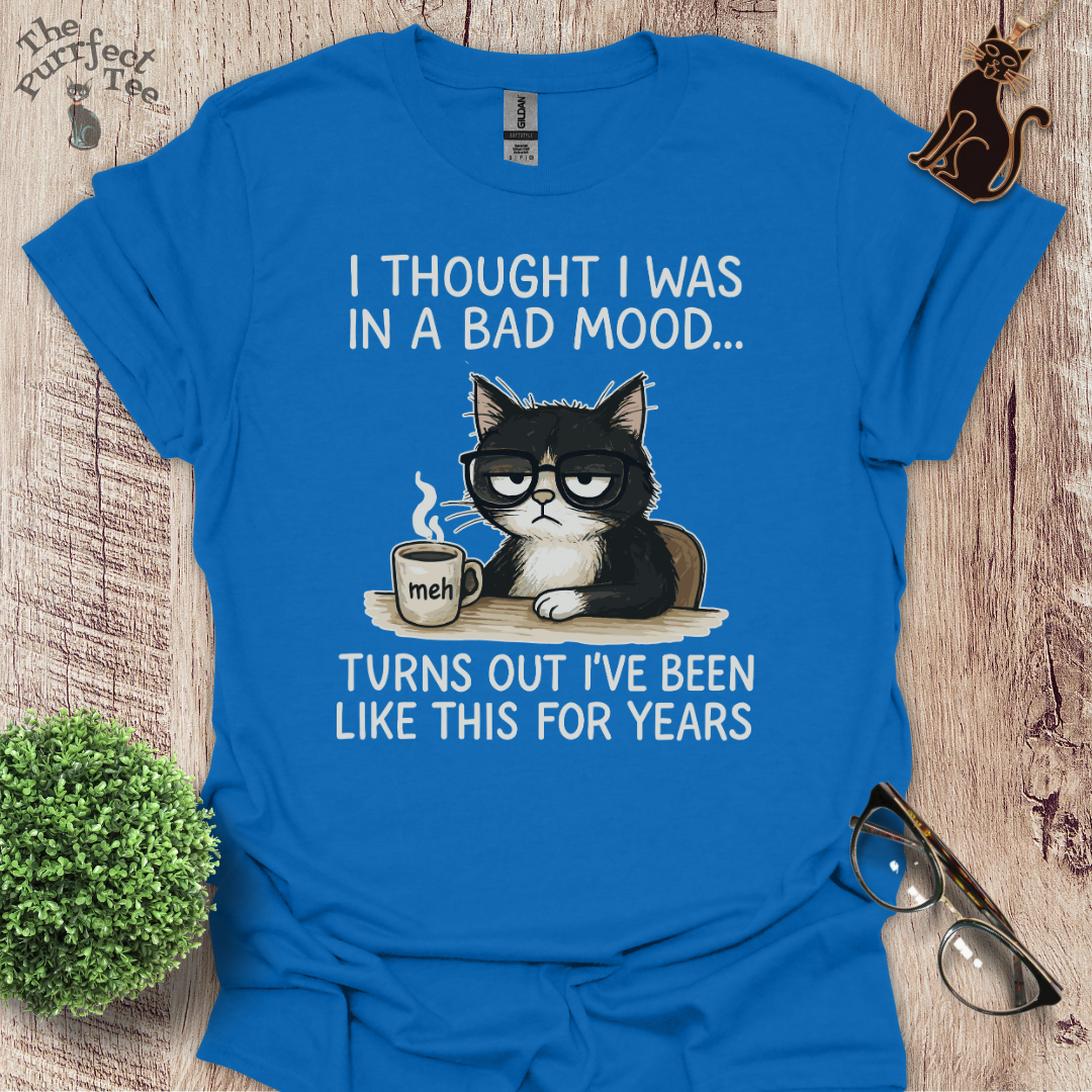 Bad mood cat t-shirt