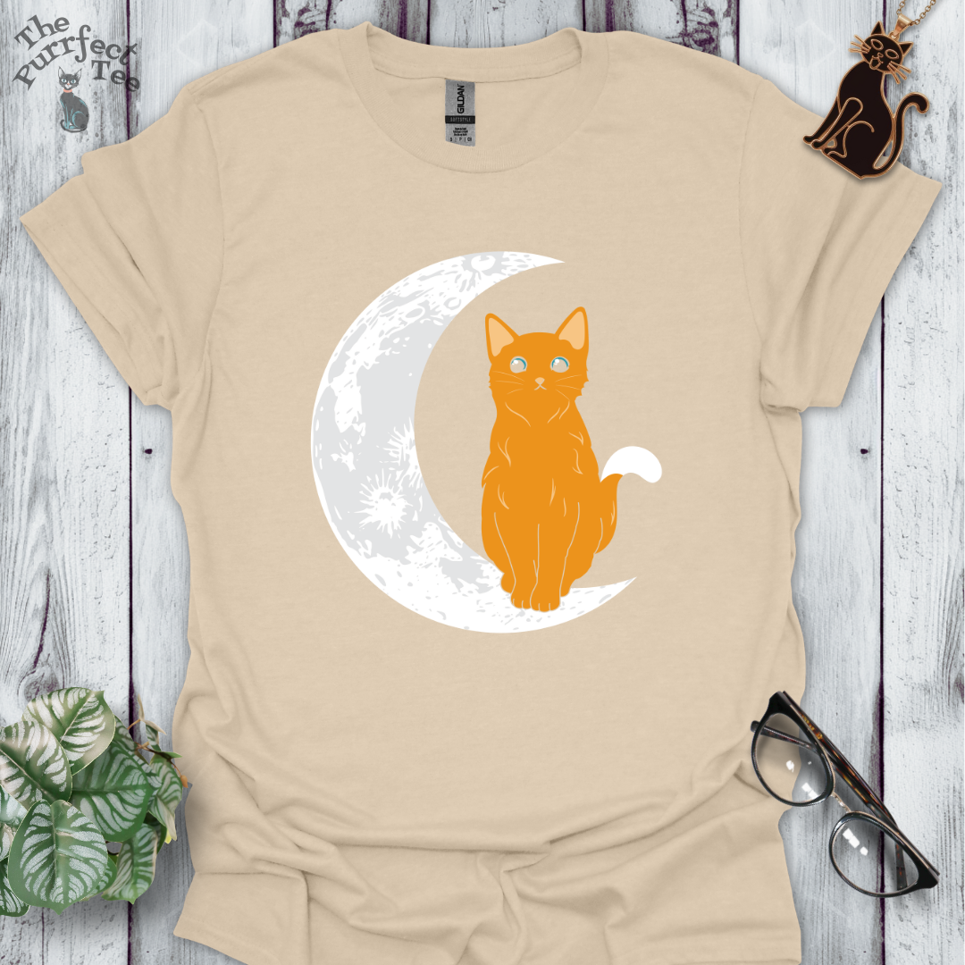 Cat and moon orange