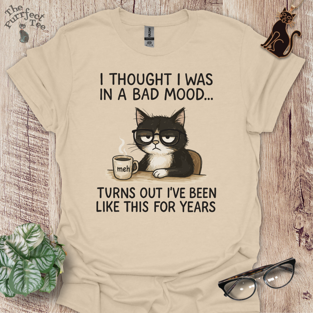 Bad mood cat t-shirt