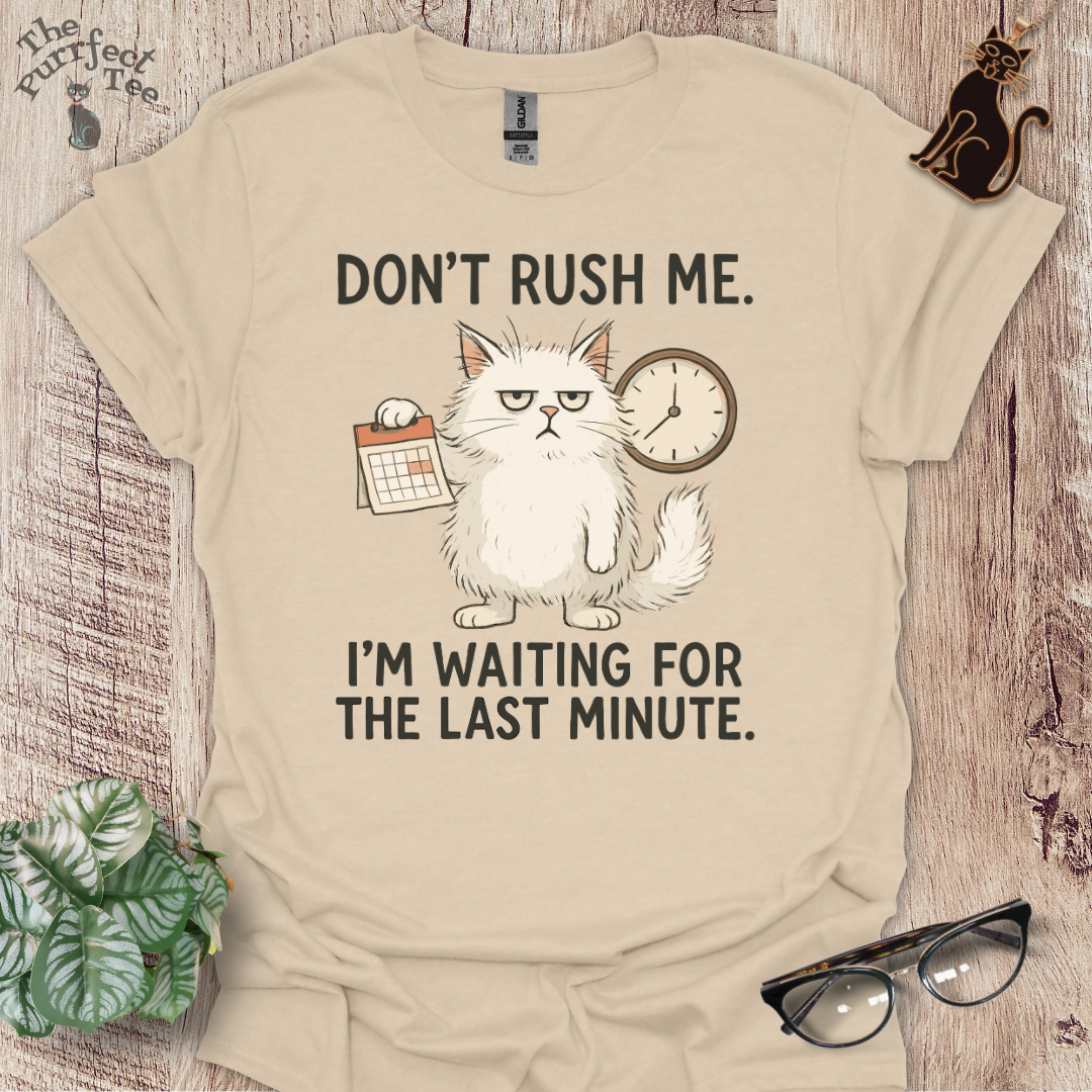 Don't rush me cat t-shirt