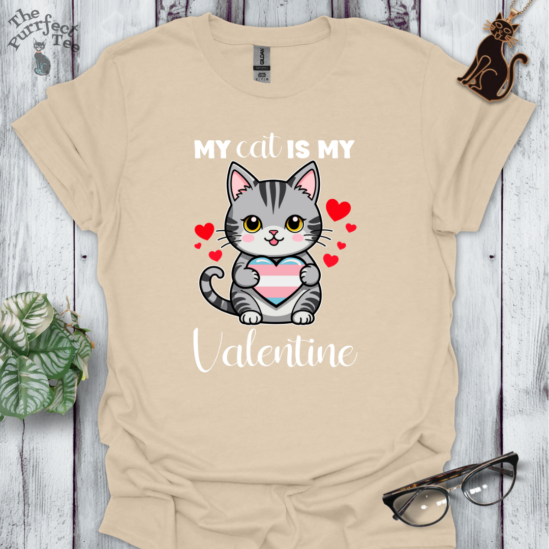 My cat is my valentine - trans heart