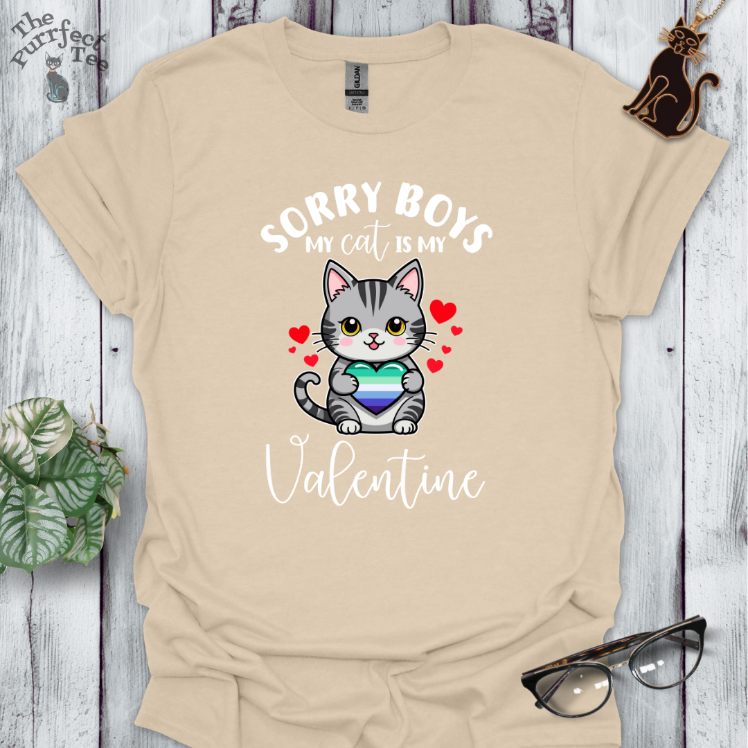 Sorry boys my cat is my valentine - gay men heart