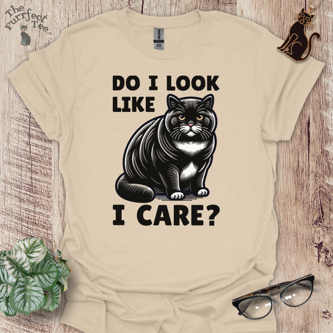 Do I look like I care cat t-shirt