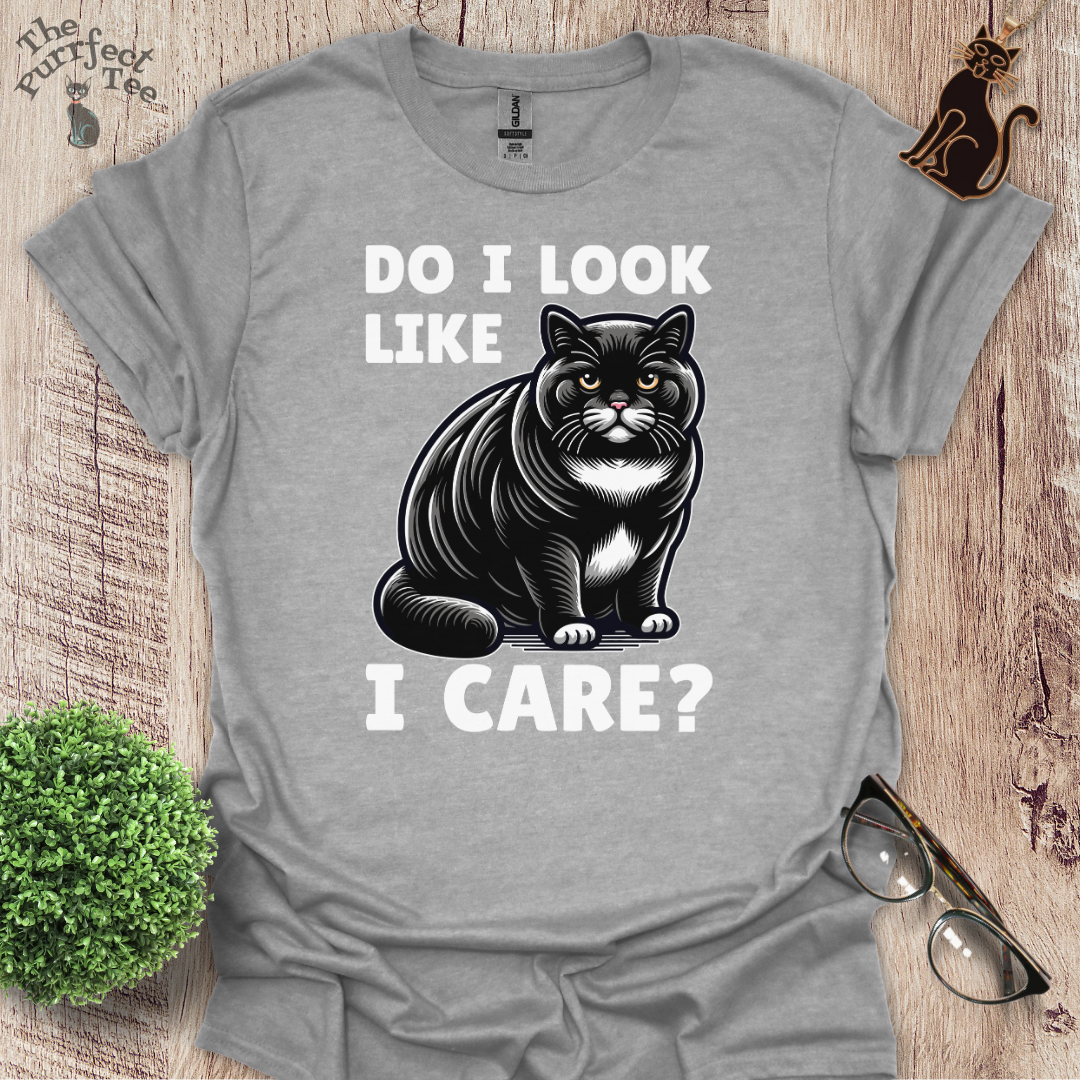 Do I look like I care cat t-shirt