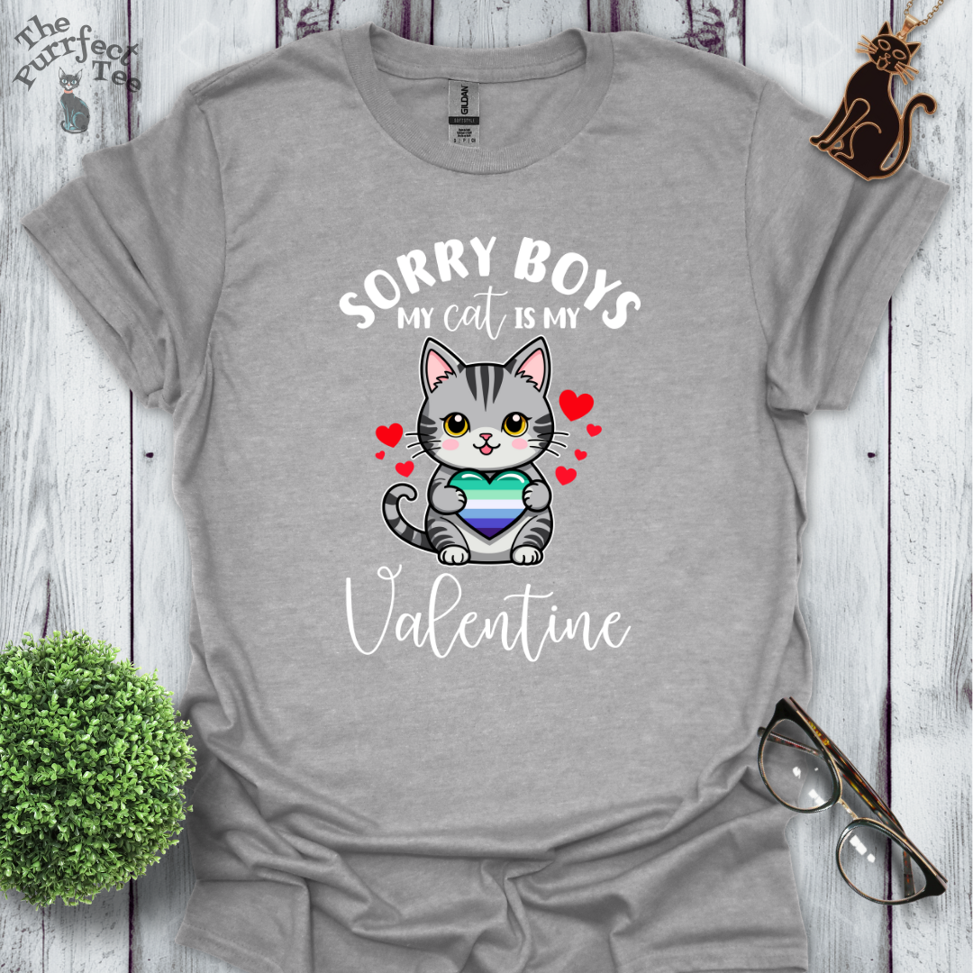 Sorry boys my cat is my valentine - gay men heart