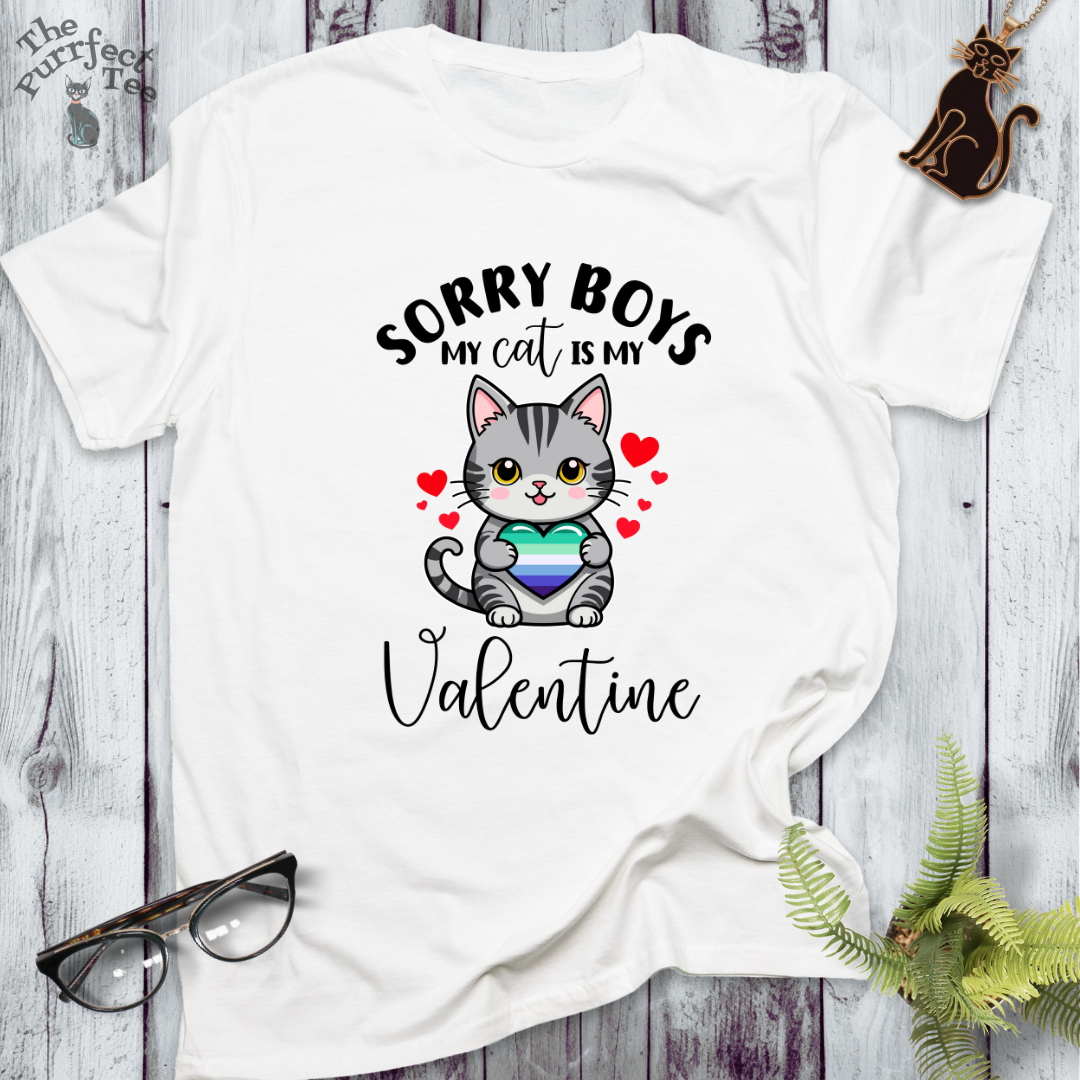 Sorry boys my cat is my valentine - gay men heart