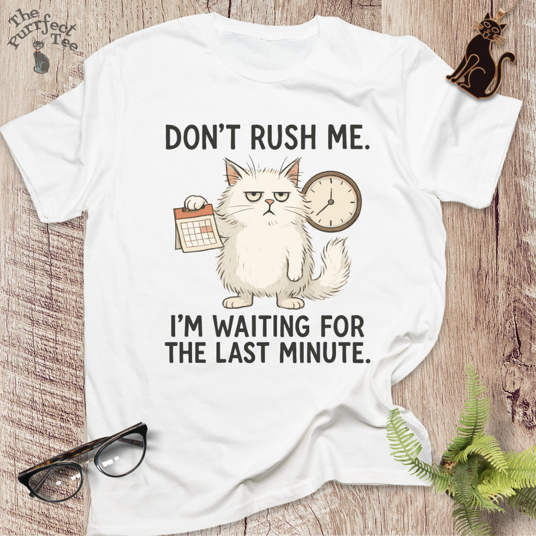 Don't rush me cat t-shirt