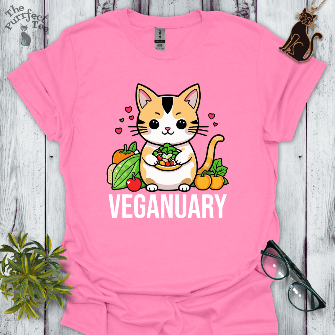 Veganuary calico cat