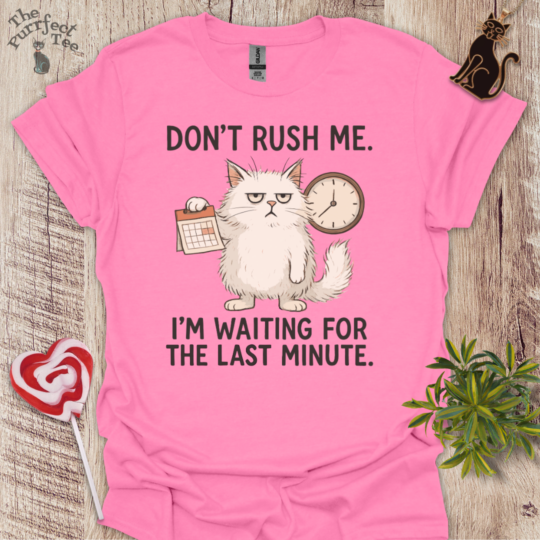 Don't rush me cat t-shirt