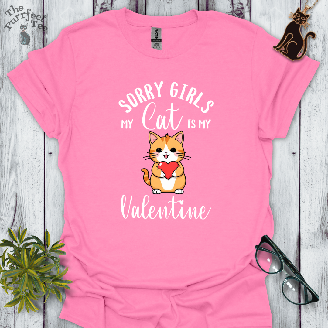 Sorry girls my cat is my valentine - ginger