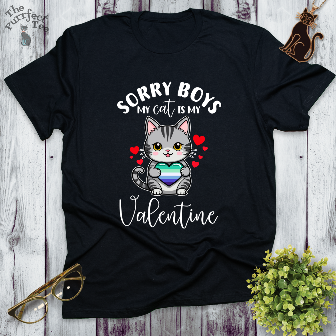 Sorry boys my cat is my valentine - gay men heart