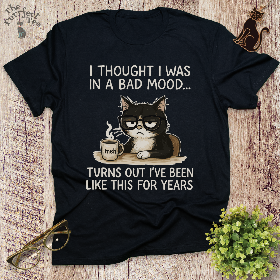 Bad mood cat t-shirt