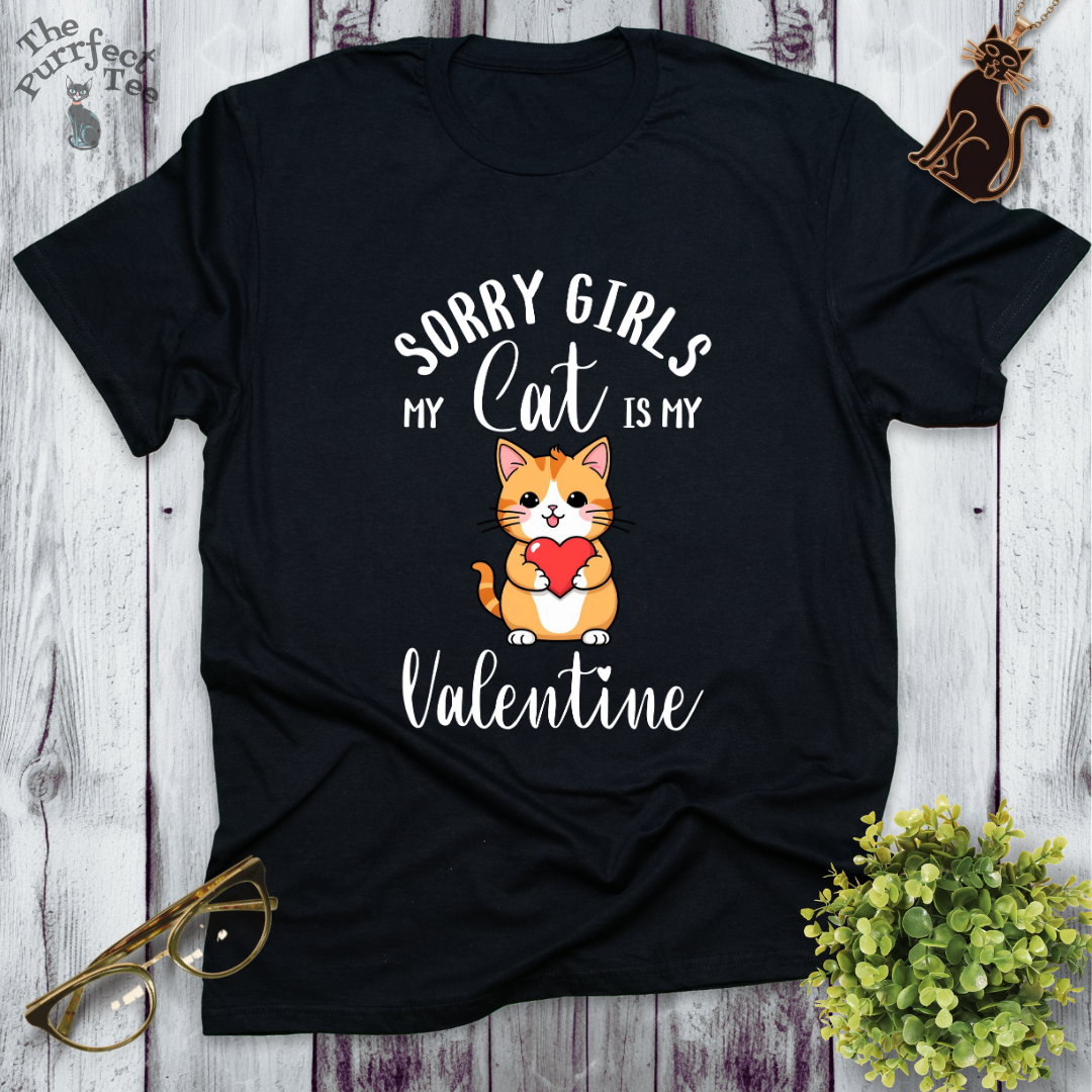 Sorry girls my cat is my valentine - ginger