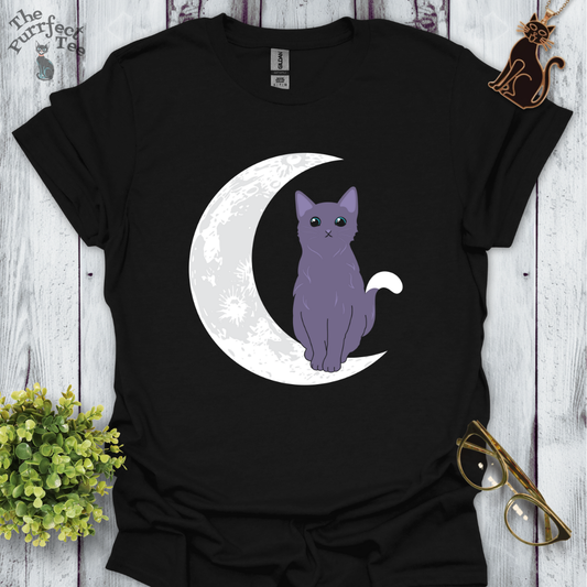 Cat and moon grey
