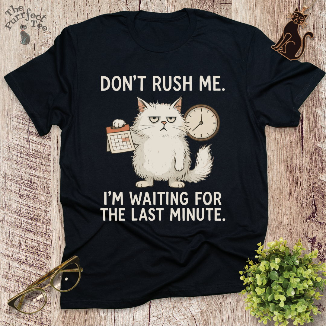 Don't rush me cat t-shirt