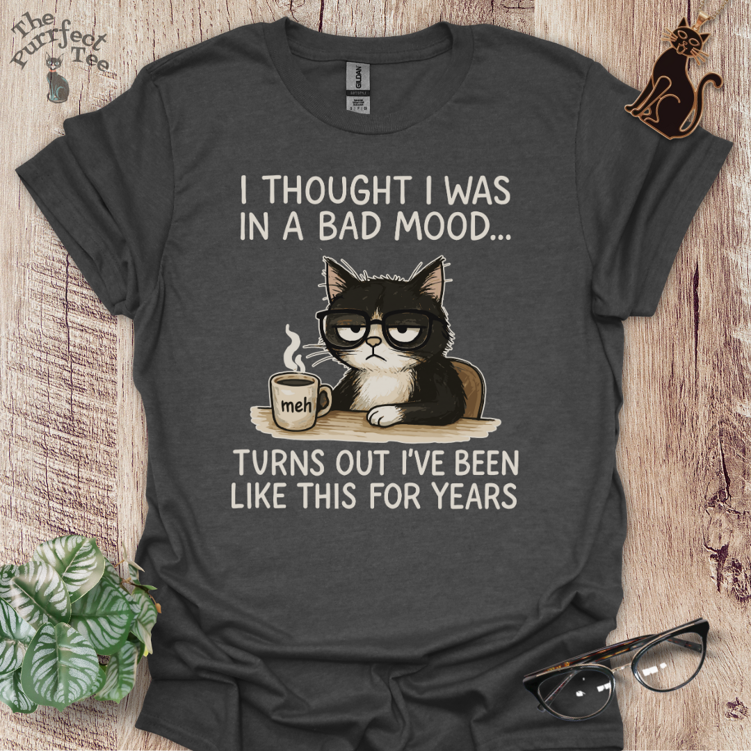 Bad mood cat t-shirt