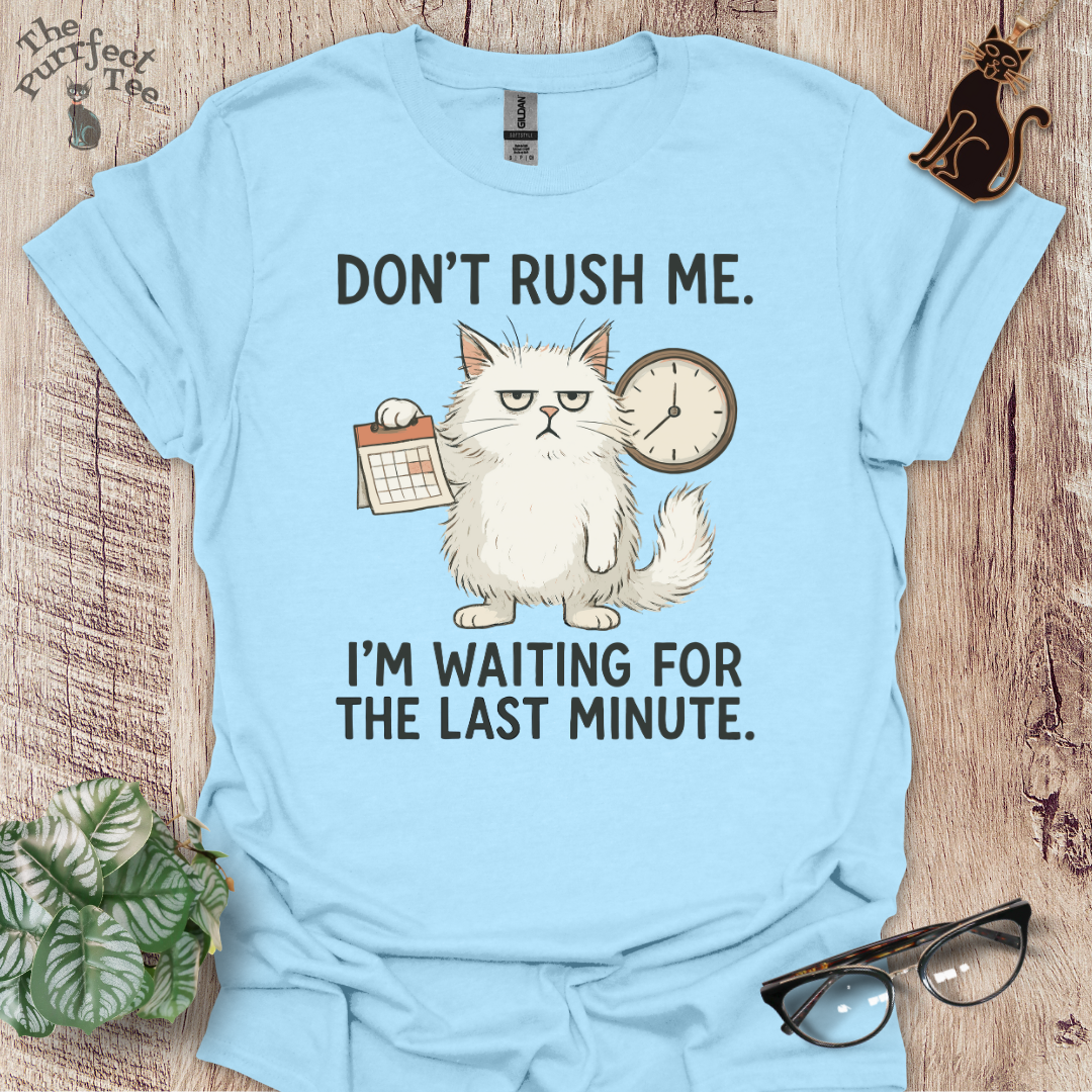 Don't rush me cat t-shirt