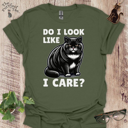 Do I look like I care cat t-shirt