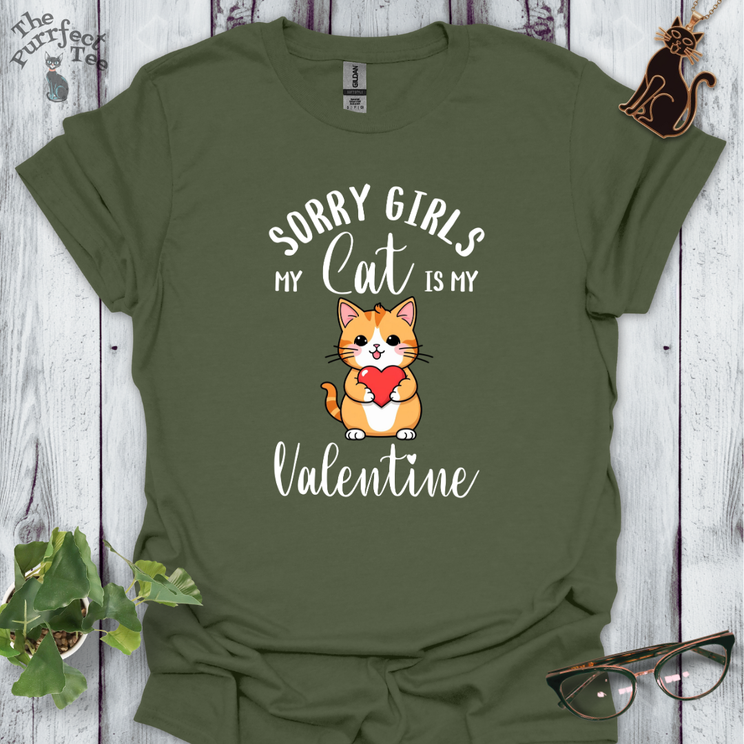 Sorry girls my cat is my valentine - ginger