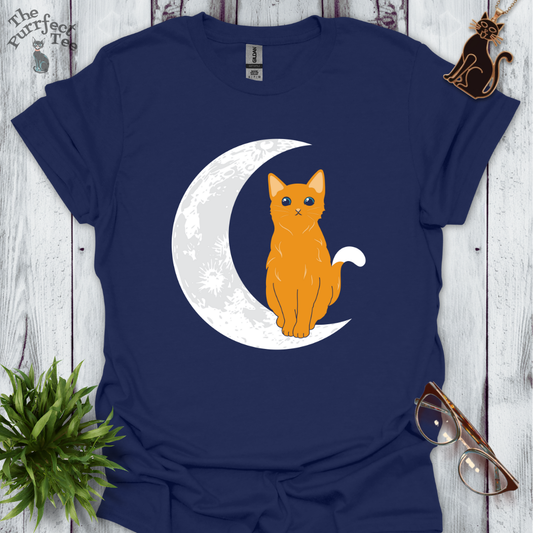 Cat and moon orange