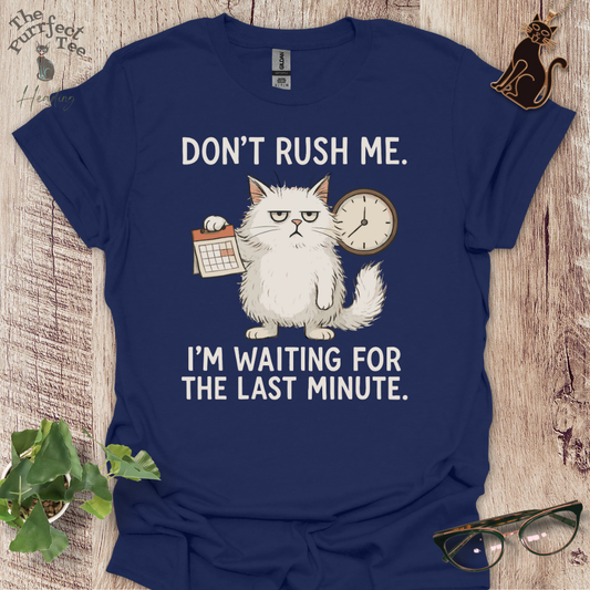 Don't rush me cat t-shirt