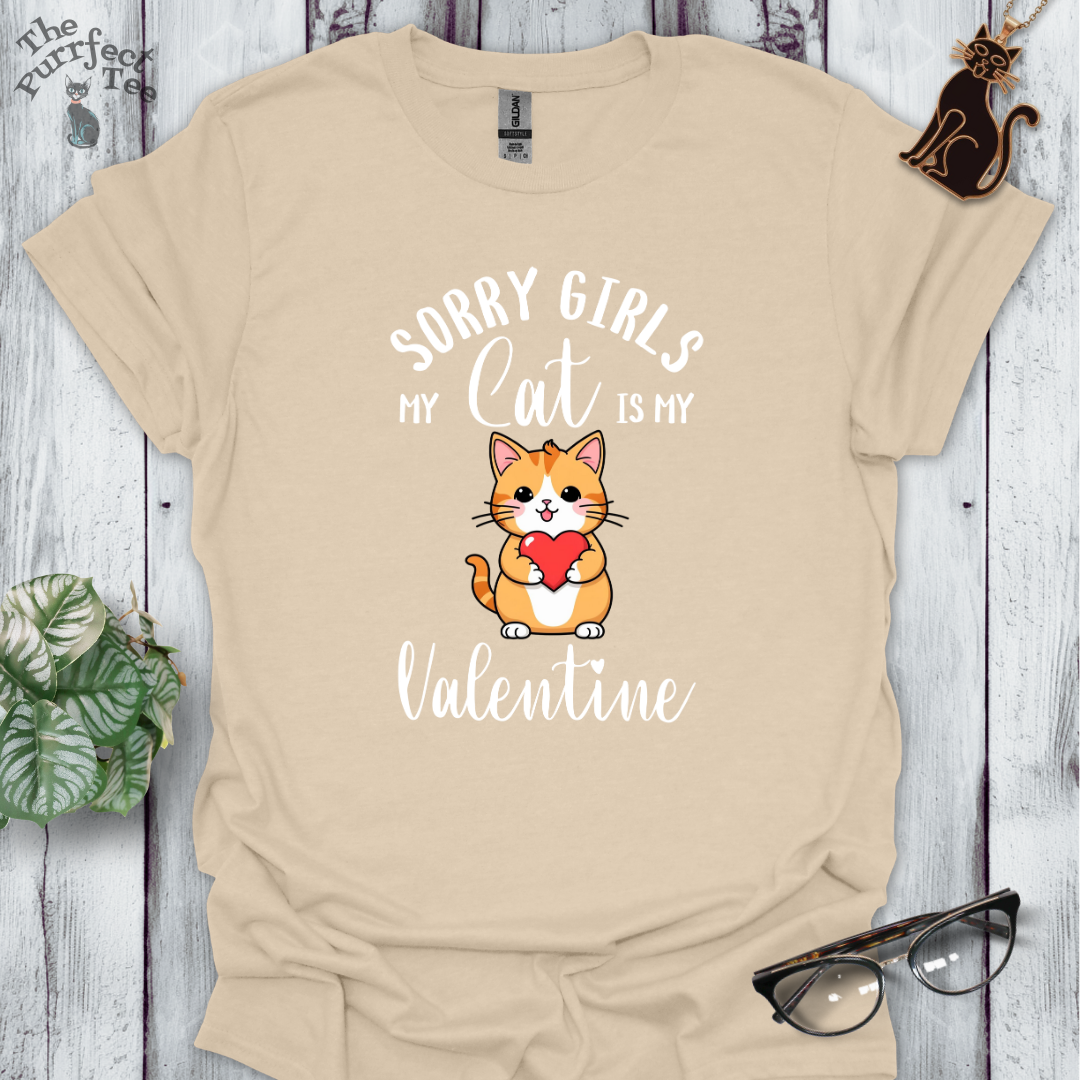 Sorry girls my cat is my valentine - ginger