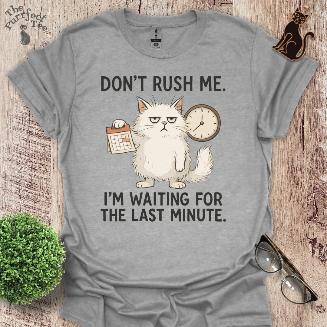 Don't rush me cat t-shirt