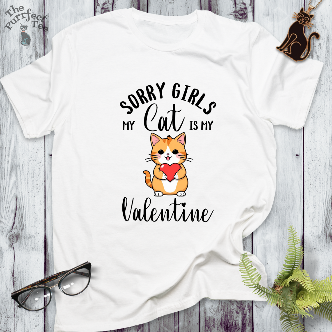 Sorry girls my cat is my valentine - ginger