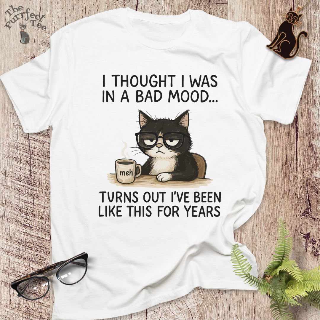 Bad mood cat t-shirt